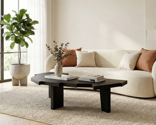 Thomas-Coup-la-fronde-table-basse-RAW-chêne-ebene-1