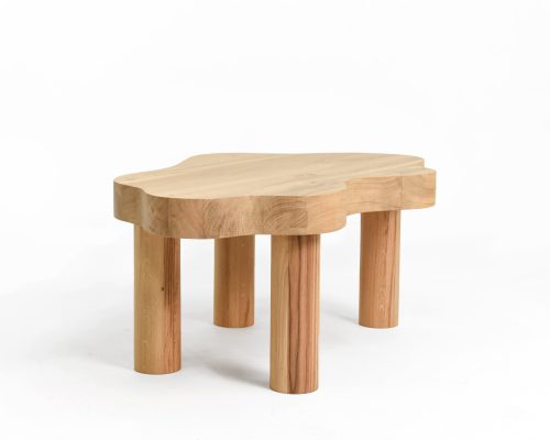 Thomas-Coup-la-fronde-table-basse-salon-plot-P4-002