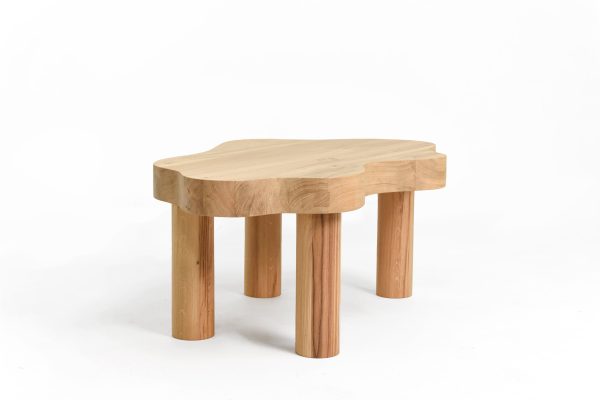 Thomas-Coup-la-fronde-table-basse-salon-plot-P4-002